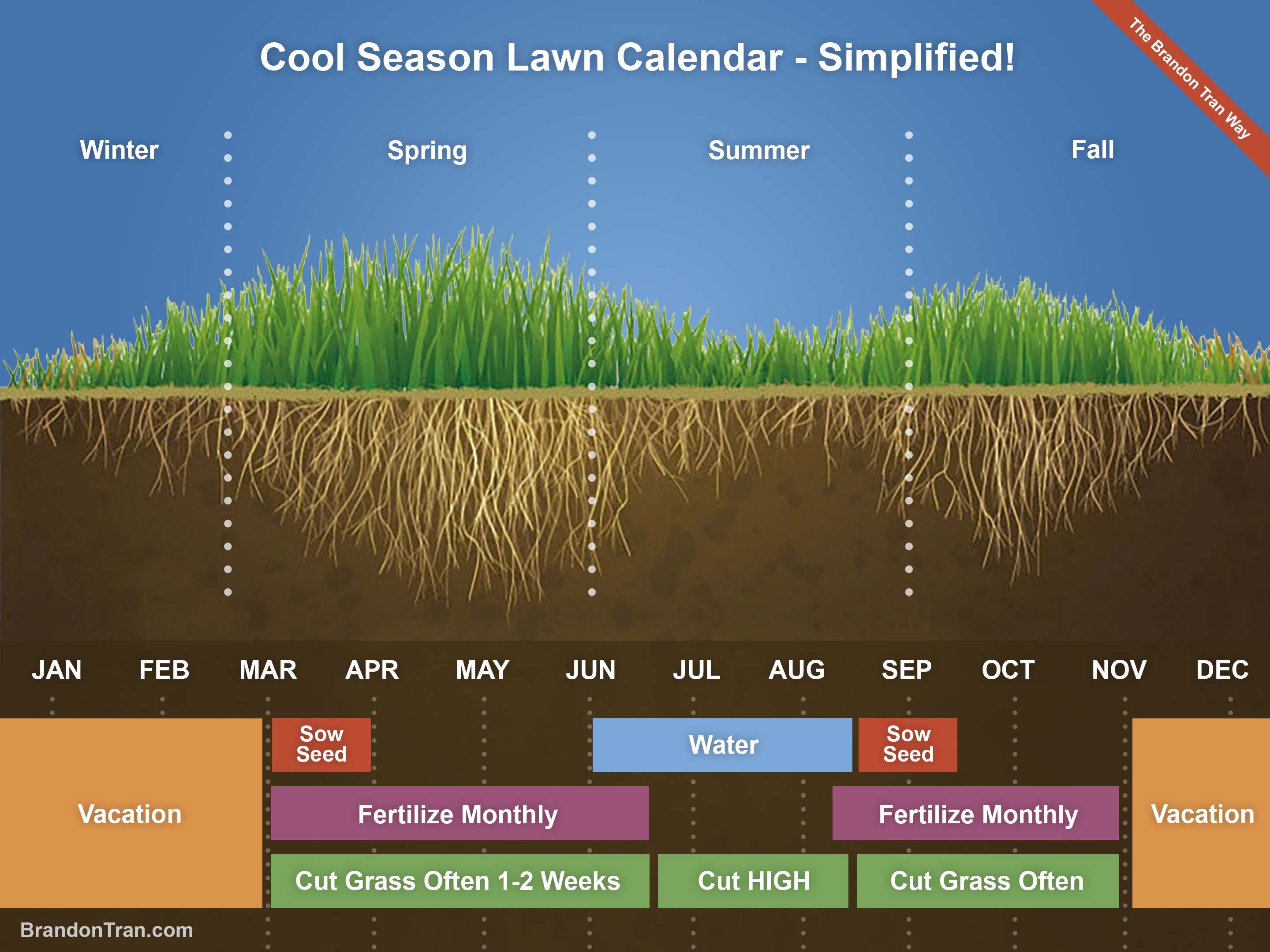 Simple Cool Season Grass Lawn Calendar for a Healthy Green Lawn